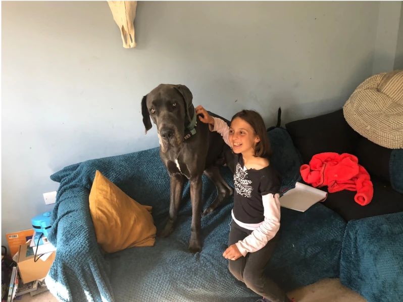 Tegan Helen with a Great Dane